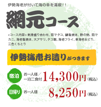 網元コース